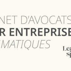 Legal Spot Avocat - Droit Affaires,  Numerique, Propriete Intellectuelle, Rgpd