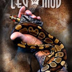 Legmod