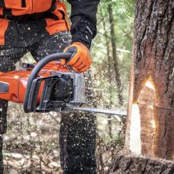 Leicester Tree Removal