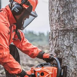 Leicester Tree Services
