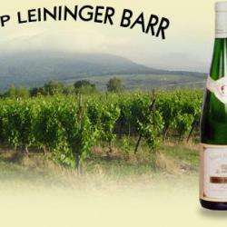 Leipp-leininger