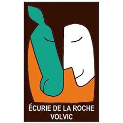 Leroy Gaelle Nee Chauffour
