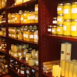 Les Abeilles
