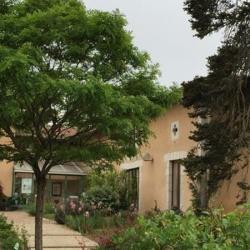 Les Acacias