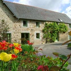 Les Agapanthes De Cromel