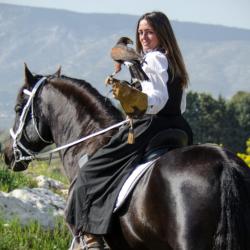 Les Aigles Du Verdon