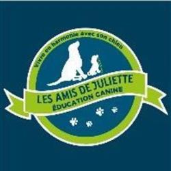 Les Amis De Juliette