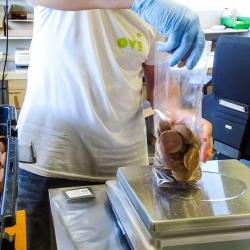 Les Ateliers Du Plantau