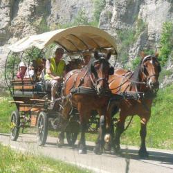 Les Attelages De La Bièvre
