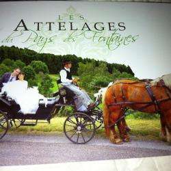 Les Attelages Du Pays Des Fontaines