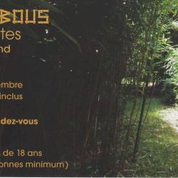 Les Bambous Des Marmettes