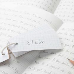 Les Belles Lettres De Marie