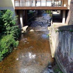 Les Berges De L'ehn