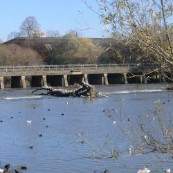 Les Berges De L'ill
