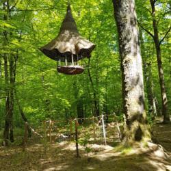 Les Bois De La Bastide