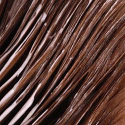 Les Boucles De Sophie