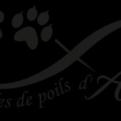 Les Bouilles De Poils D'avelana