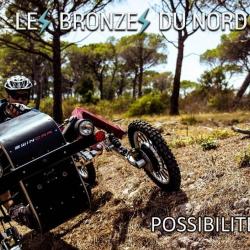 Les Bronzes Du Nord