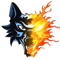 Les Bruleurs De Loups