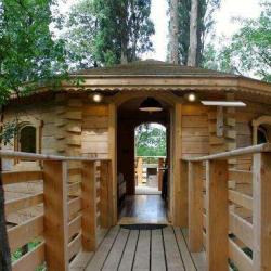 Les Cabanes Dans Les Bois