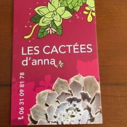 Les Cactées D'anna