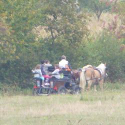 Les Calèches De Megrit