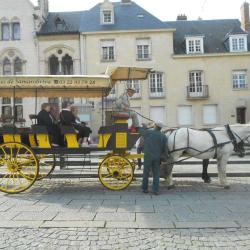 Les Calèches De Samarobriva