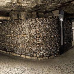 Les Catacombes De Paris