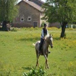 Les Cavaliers D Epona