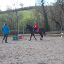 Les Chevaux Du Rajal