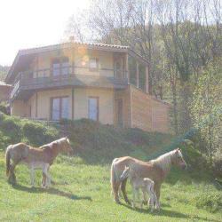 Les Chevaux Libres