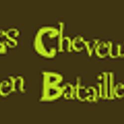 Les Cheveux En Bataille