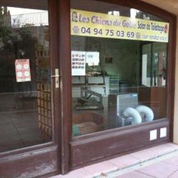 Les Chiens Du Golfe