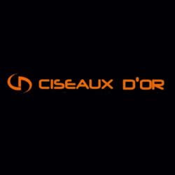 Les Ciseaux D'or