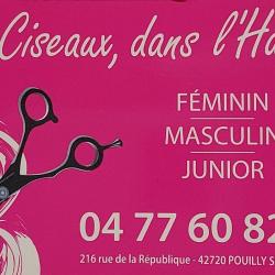 Les Ciseaux Dans L'hair