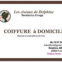 Les Ciseaux De Delphine
