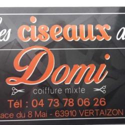 Les Ciseaux De Domi