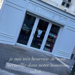 Les Ciseaux De Zoe