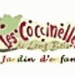 Les Coccinelles