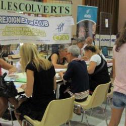 Les Colverts