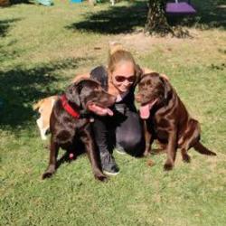 Les Compagnons De Lili
