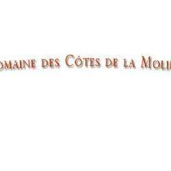 Les Côtes De La Molière - Perraud Bruno