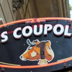 Les Coupoles