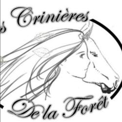 Les Crinieres De La Foret