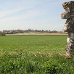 Les Croix Pattées Du Vexin