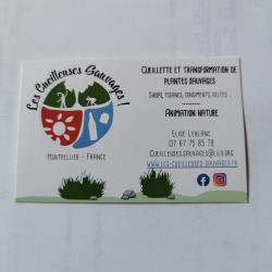 Les Cueilleuses Sauvages !