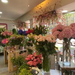 Les Dahlias - Fleuriste Argenteuil