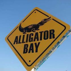 Alligator Bay