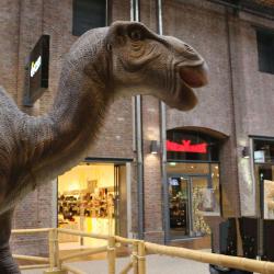 Les Dinosaures Géants