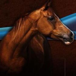 Ecurie De St Brevin